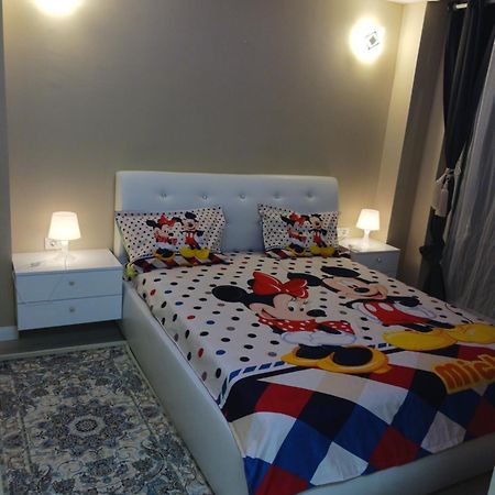 Myky Mouse Nu Primesc Santieristi Si Petrecareti Apartment Bucharest Exterior photo