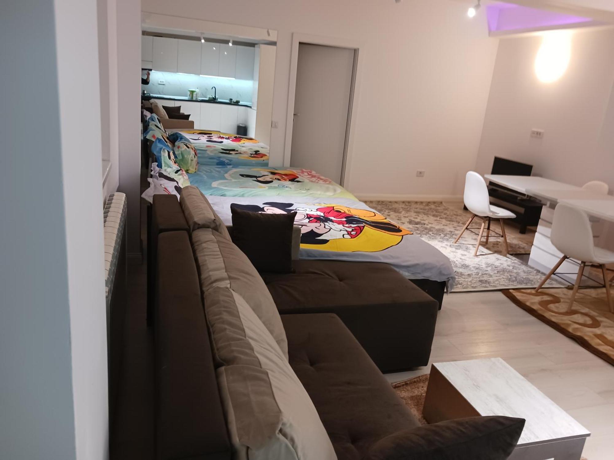 Myky Mouse Nu Primesc Santieristi Si Petrecareti Apartment Bucharest Exterior photo