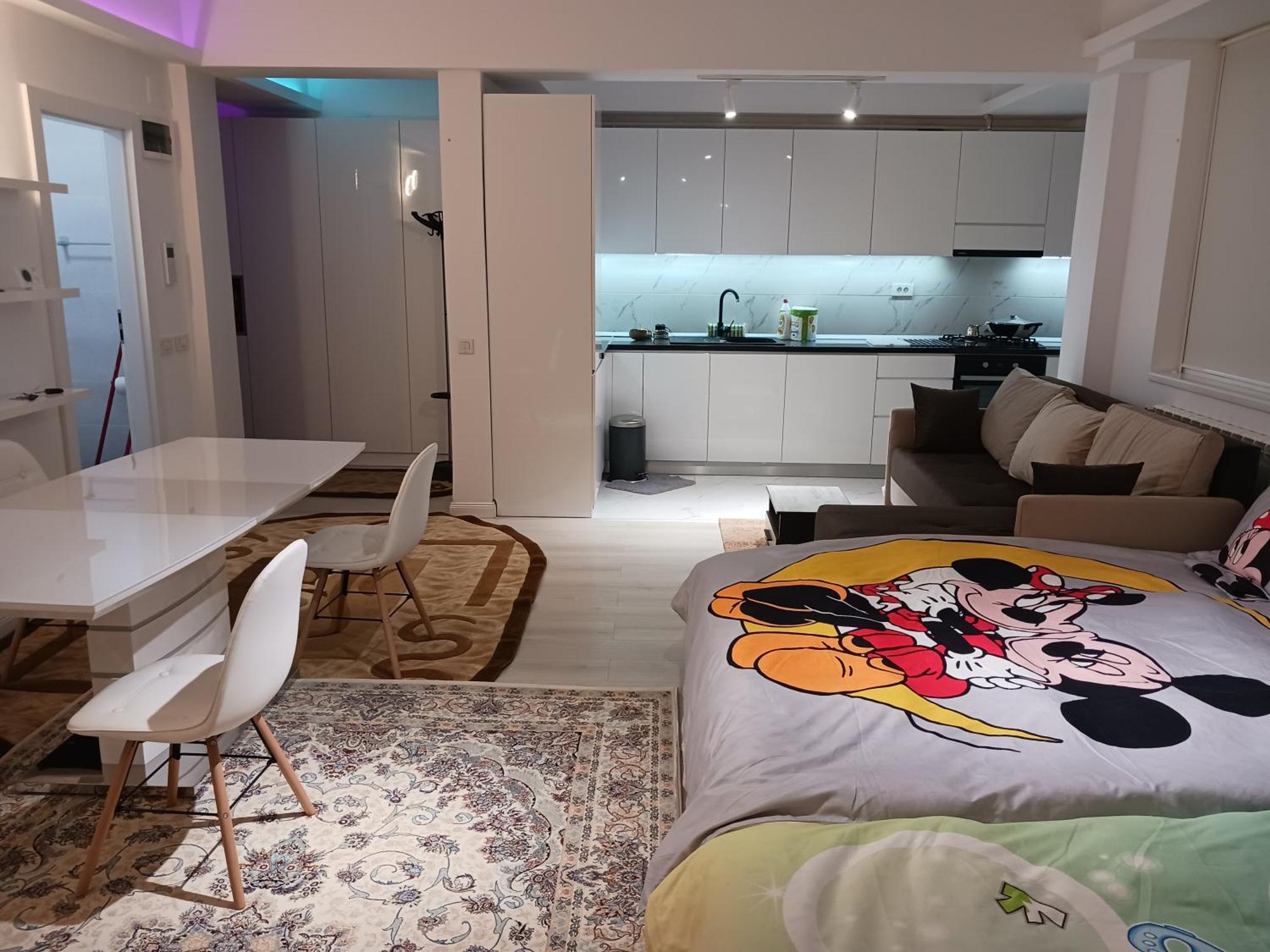 Myky Mouse Nu Primesc Santieristi Si Petrecareti Apartment Bucharest Exterior photo